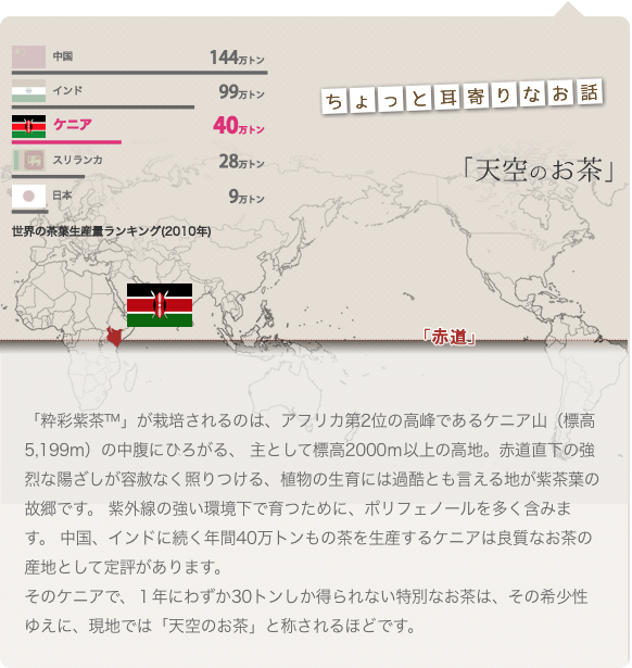 「粋彩紫茶™」が栽培されるのは、アフリカ第2位の高峰であるケニア山（標高5,199m）の中腹にひろがる、 主として標高2000ｍ以上の高地。赤道直下の強烈な陽ざしが容赦なく照りつける、植物の生育には過酷とも言える地が紫茶葉の故郷です。 紫外線の強い環境下で育つために、ポリフェノールを多く含みます。 中国、インドに続く年間40万トンもの茶を生産するケニアは良質なお茶の産地として定評があります。そのケニアで、１年にわずか30トンしか得られない特別なお茶は、その希少性ゆえに、現地では「天空のお茶」と称されるほどです。