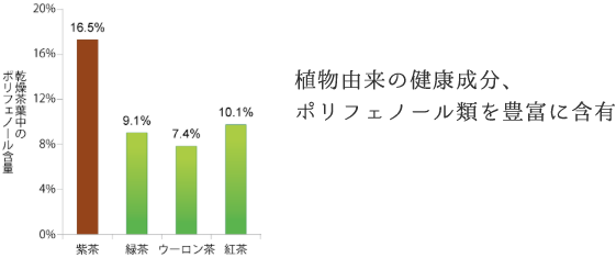 植物由来の健康成分、ポリフェノール類を豊富に含有